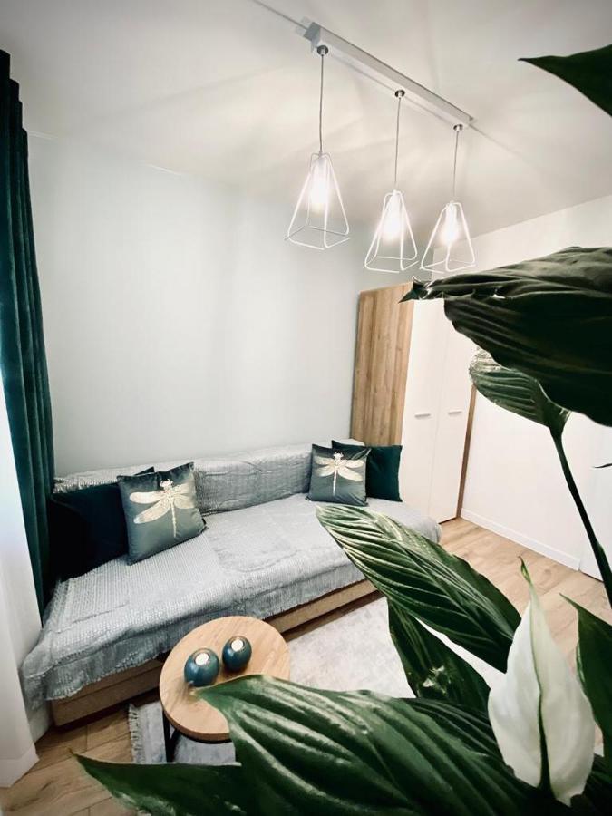 Apartament Króla Sandomierz Zewnętrze zdjęcie