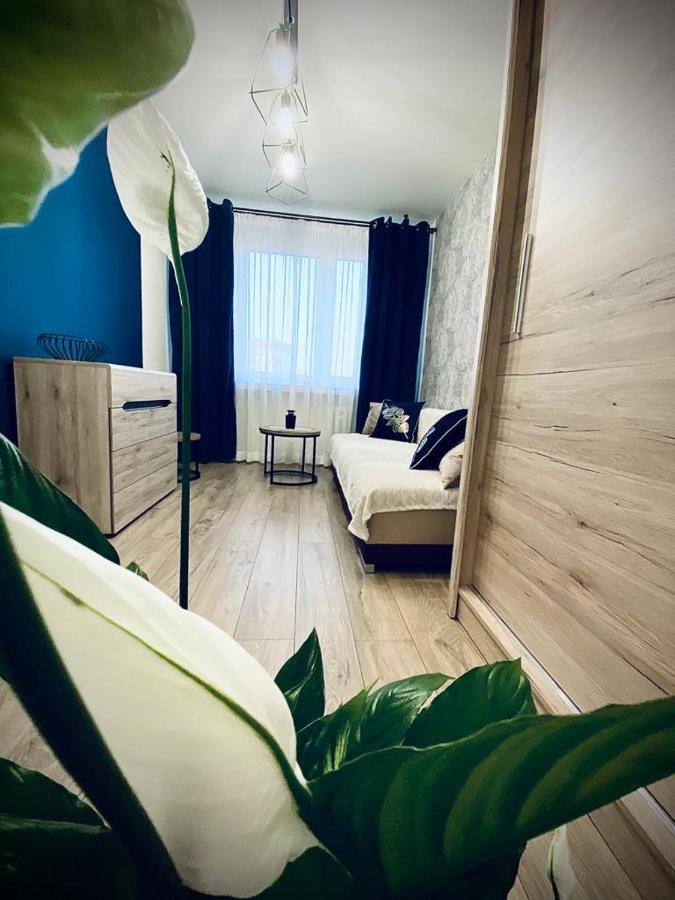 Apartament Króla Sandomierz Zewnętrze zdjęcie